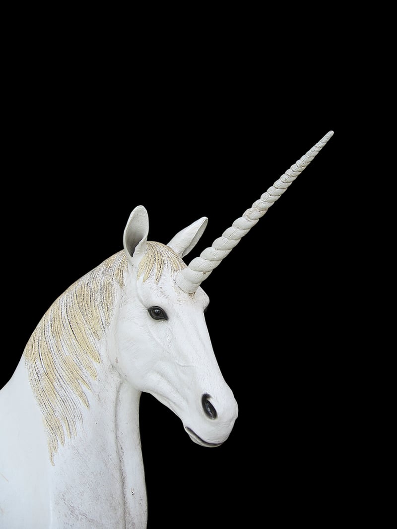 Unicorn in a garden